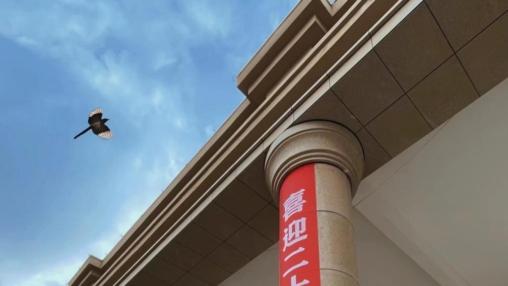 bat365在线中国登录入口师生喜迎二十大（组图）