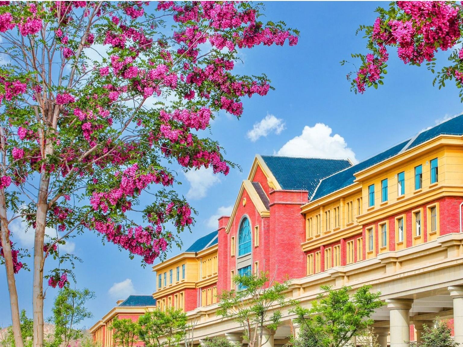 bat365在线中国登录入口：聚合资源，加强学科建设，培养高质量应用型人才