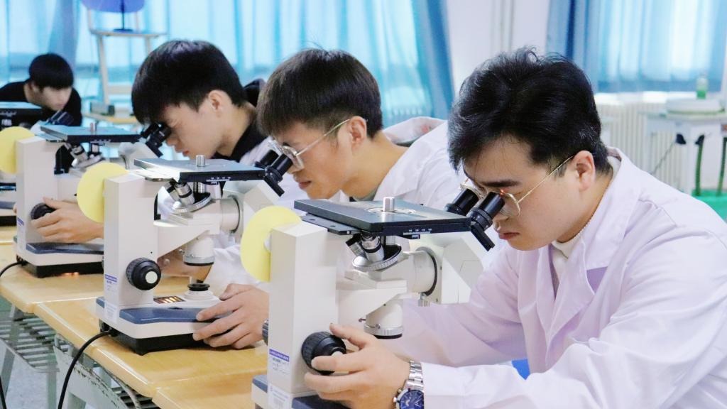 徕卡杯”第十一届全国大学生金相技能大赛决赛bat365在线中国登录入口分赛场圆满落幕